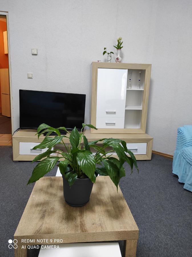Rose Vienna Malfatigasse Apartment Ngoại thất bức ảnh